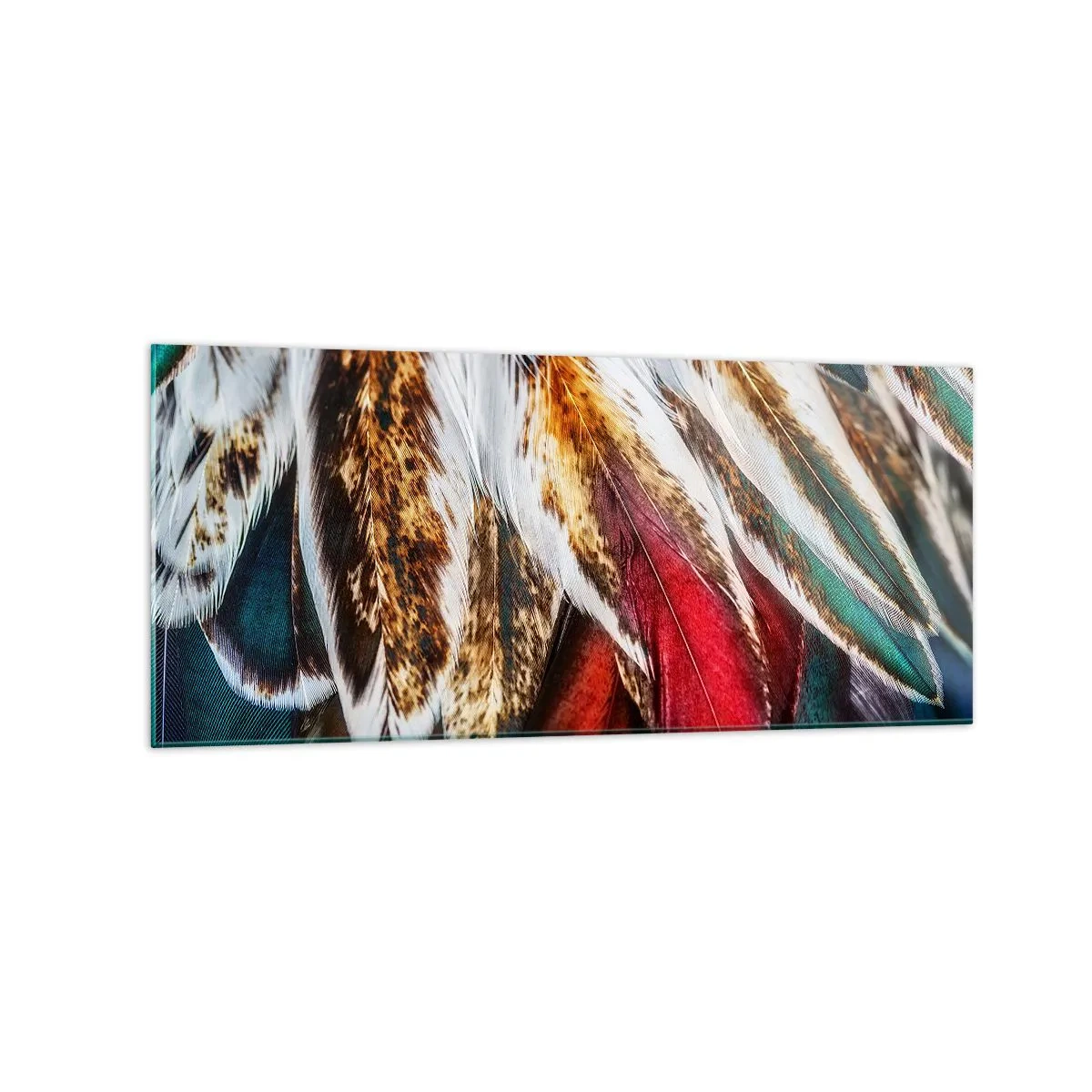 Obraz na skle - Tajomstvo letu - 120x50 cm
