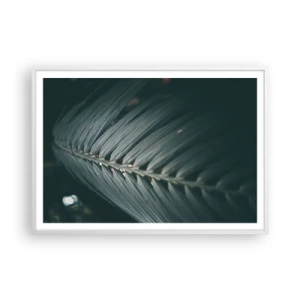 Plagát v bielom ráme - Presnosť prírody - 100x70 cm