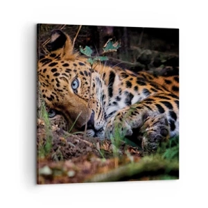 Obraz na plátne - Ver mi - 60x60 cm