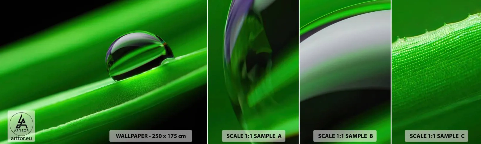 Vzorka Fototapeta Standard Eco - Život zblízka - Abstrakcia, Grafika, Kvapka vody - 100x30 cm