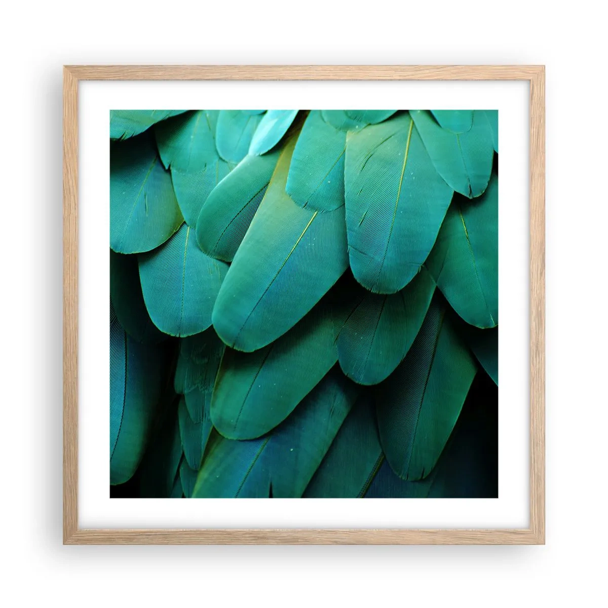 Plagát v ráme zo svetlého duba - Presnosť papagájovej povahy - 50x50 cm