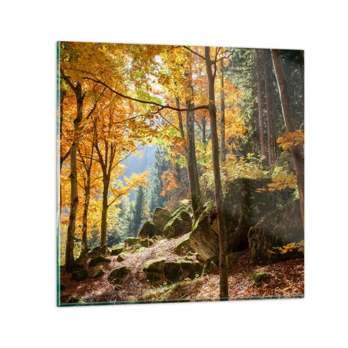 Obraz na skle - Čas na odpočinok - 50x50 cm