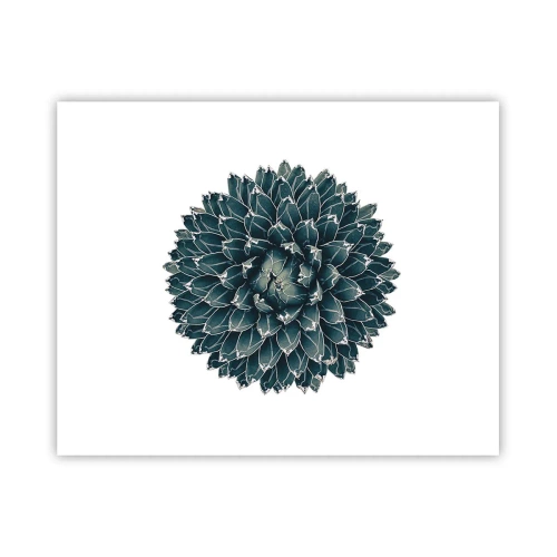Plagát - Hviezda púšte - 50x40 cm