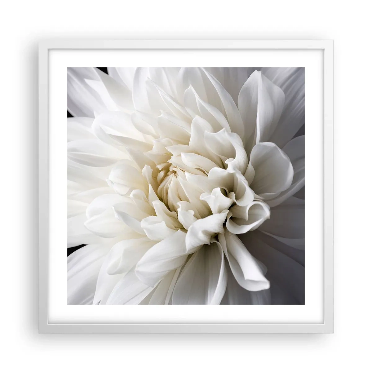 Plagát v bielom ráme - Ráno s nevestou - 50x50 cm