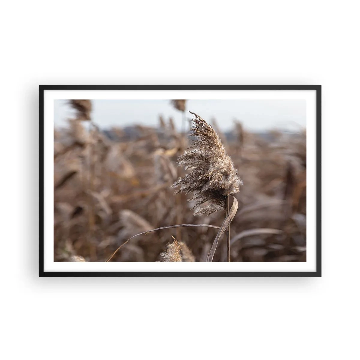 Plagát v čiernom ráme - Čas odletieť s vetrom - 91x61 cm