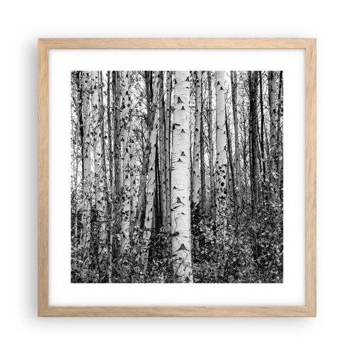 Plagát v ráme zo svetlého duba - Brezová kolonáda - 40x40 cm