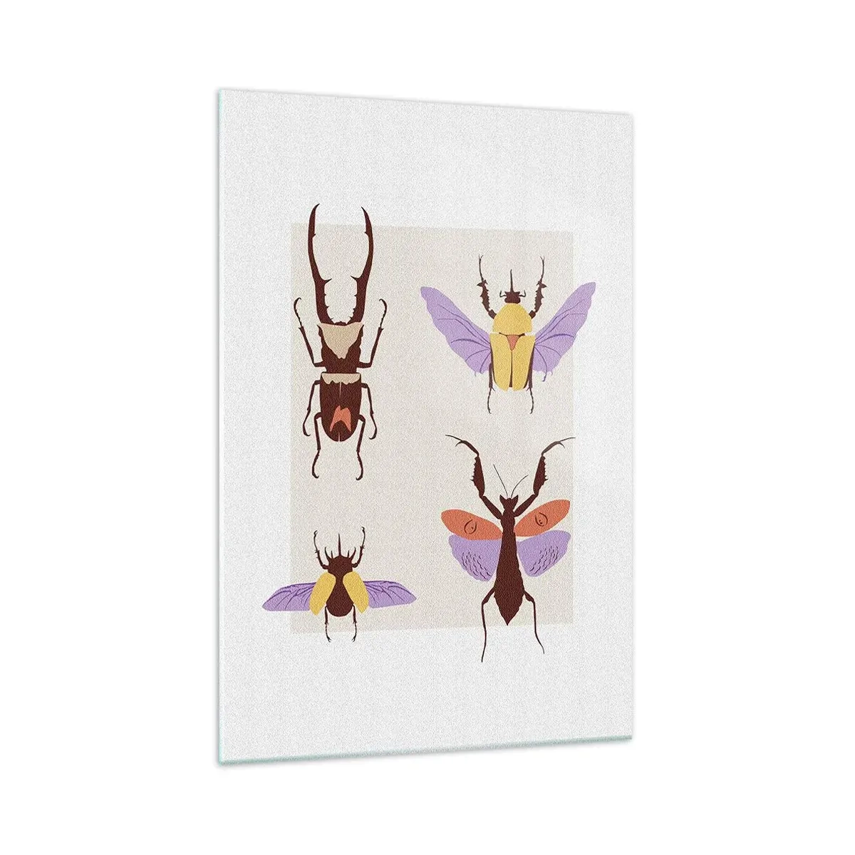 Obraz na skle - Hmyzí svet - 70x100 cm