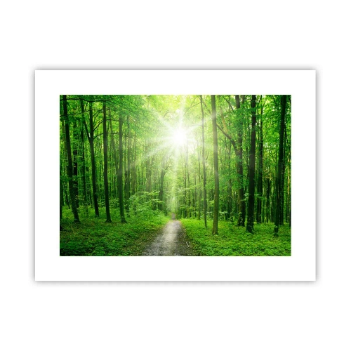 Plagát - Zelená katedrála - 40x30 cm