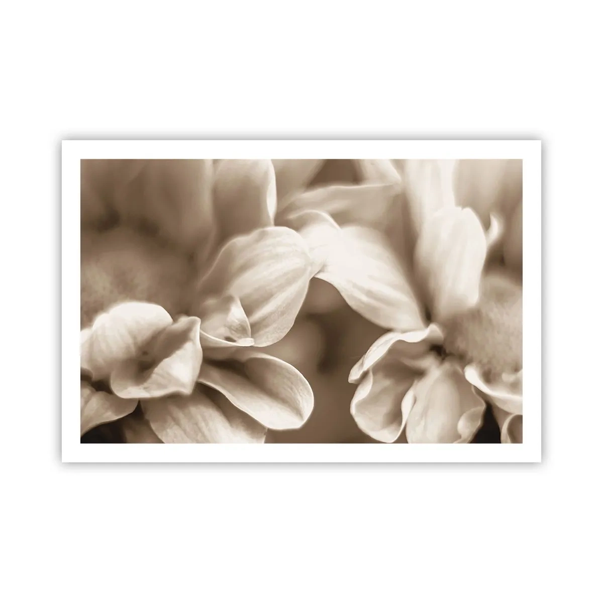 Plagát - Nežné ako úsmev - 91x61 cm