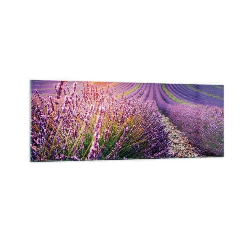 Obraz na skle - Voňavý lán - 140x50 cm