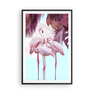 Plagát v čiernom ráme - Tri vtáčie grácie - 61x91 cm