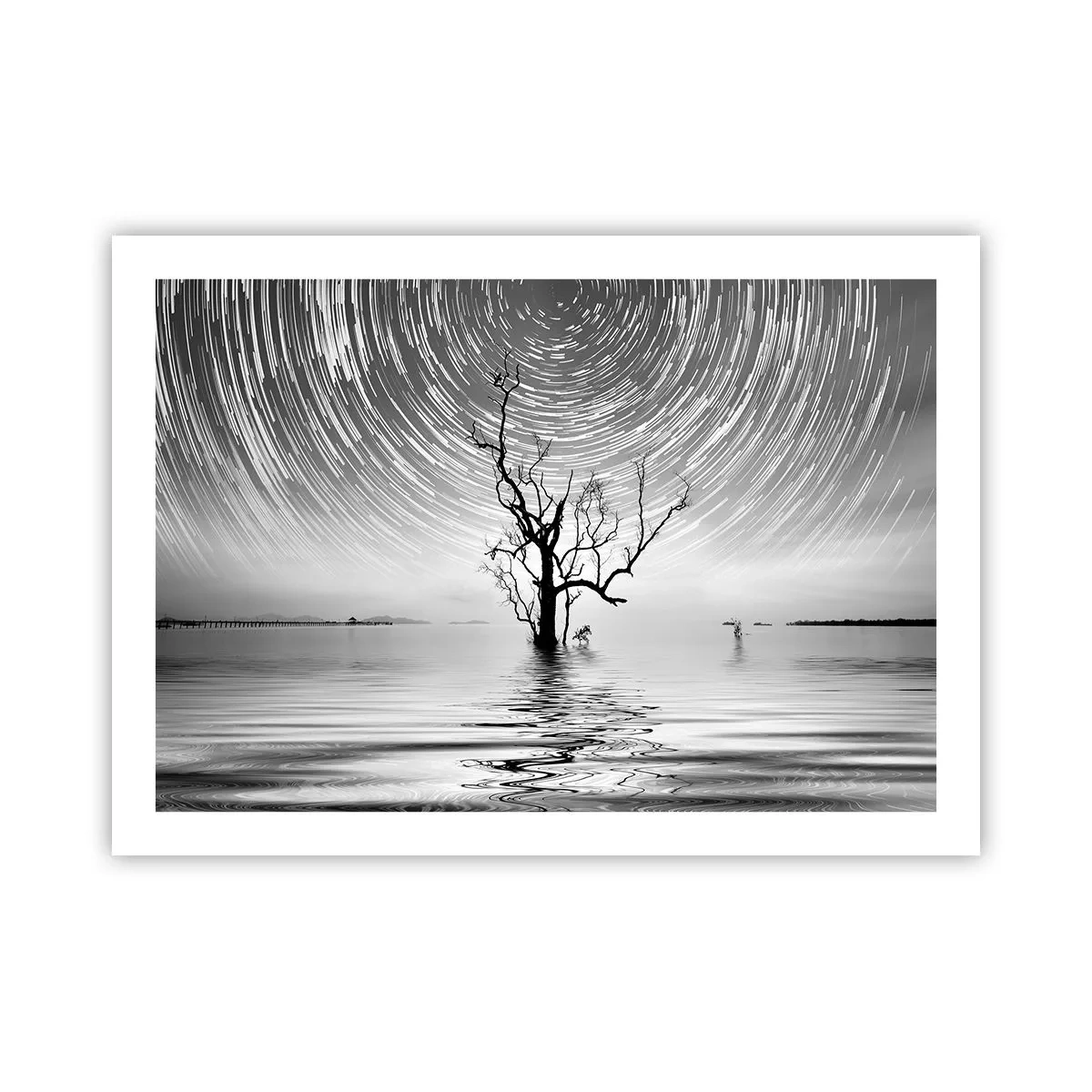 Plagát - Symfónia prírody - 70x50 cm