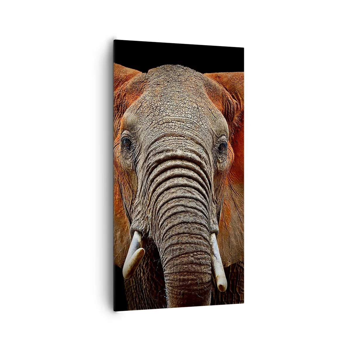 Obraz na plátne - Som divoký, a ty? - 65x120 cm