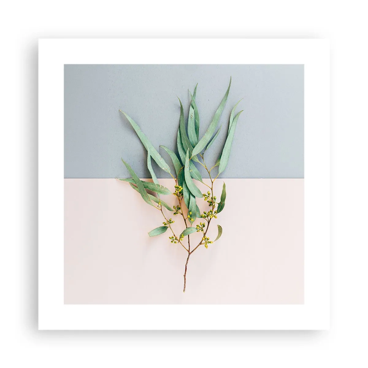 Plagát - Pastelová jemnosť - 40x40 cm