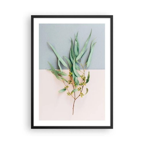 Plagát v čiernom ráme - Vetvička eukalyptu na pastelovom pozadí - 50x70cm - Pastelová jemnosť - Moderná nástenná dekorácia do obývacej izby a spálne ARTTOR