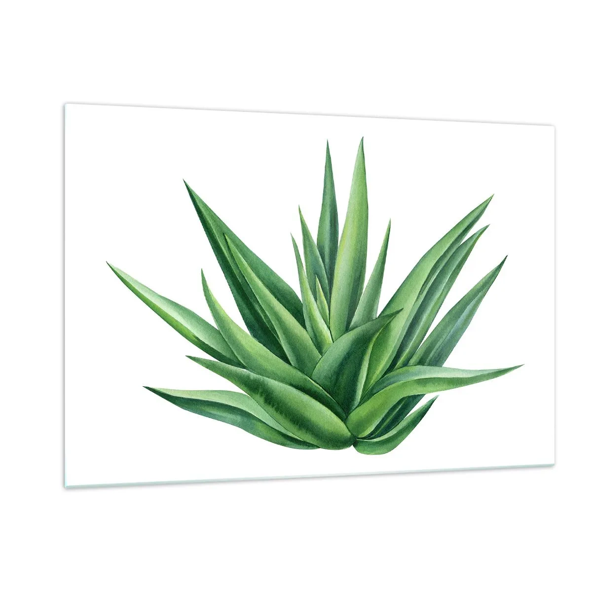 Obraz na skle - Zelená – sila – život - 120x80 cm