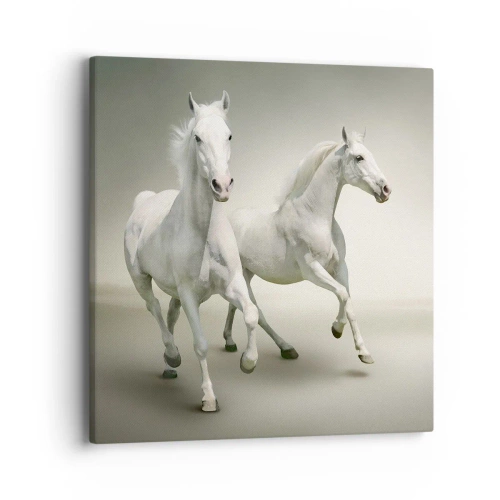 Obraz na plátne - White power! - 40x40 cm