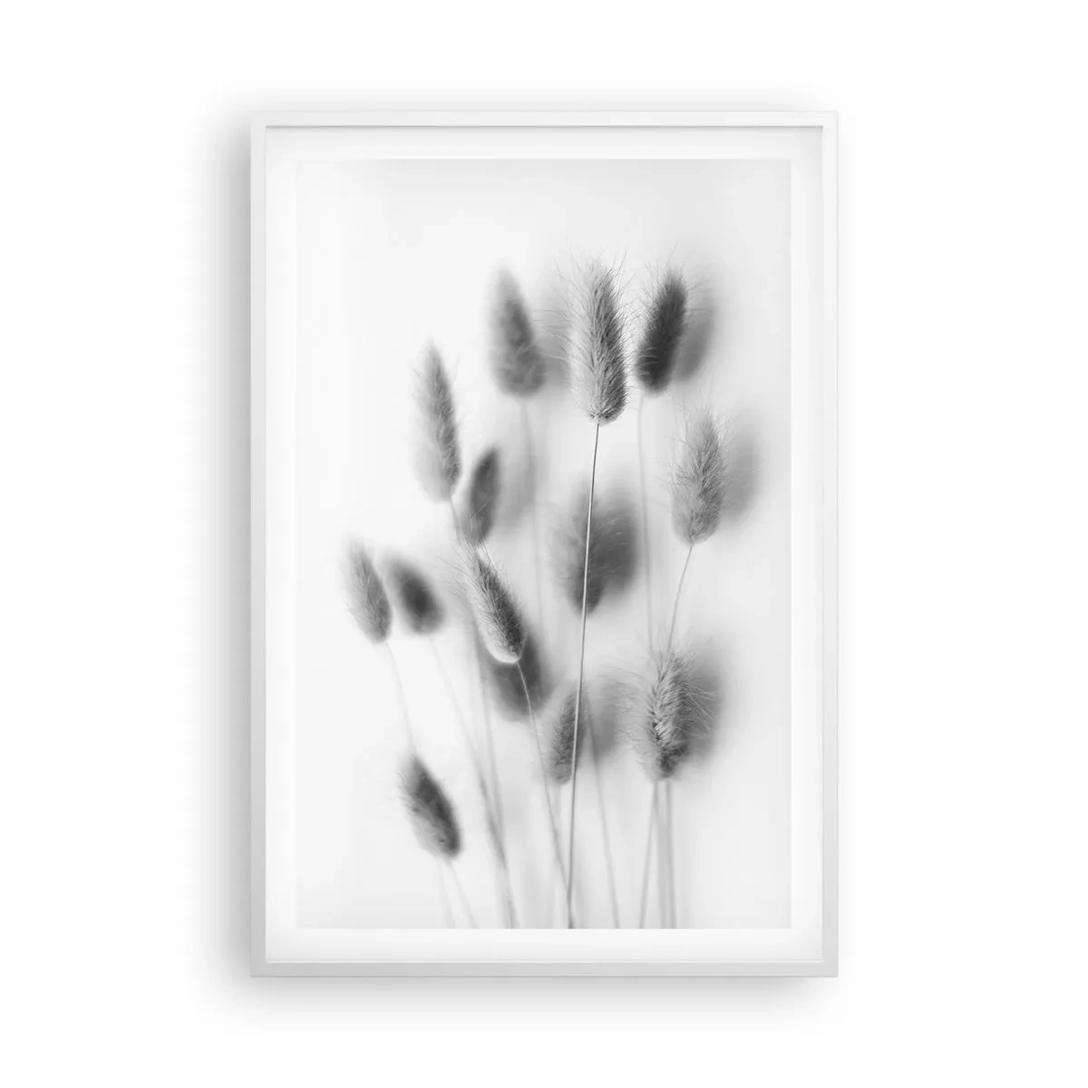 Plagát v bielom ráme - Našuchorená tráva - 61x91 cm