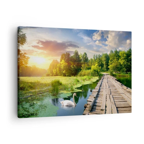 Obraz na plátne - Malebná krajina s mostom a labuťou - 70x50cm - Leto, leto všade - Moderná nástenná dekorácia do obývacej izby a spálne ARTTOR