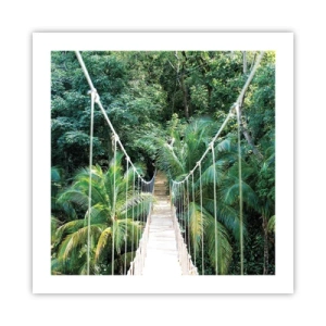 Plagát - Welcome to the jungle! - 50x50 cm