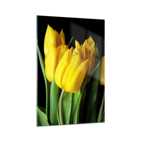 Obraz na skle - Vznikli z čistého slnka - 70x100 cm