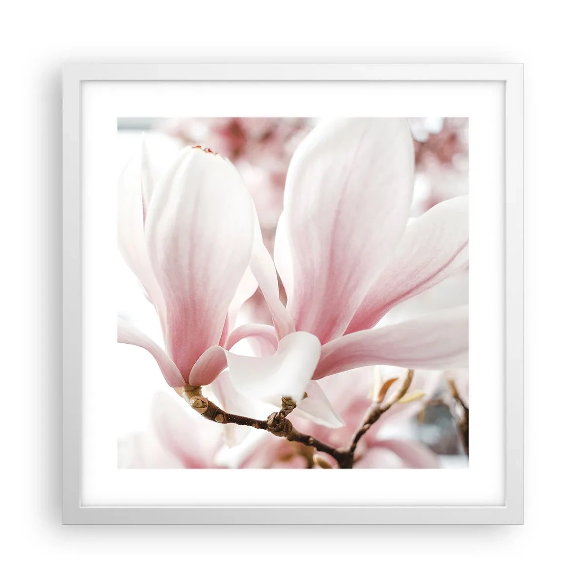 Plagát v bielom ráme - Nesmiernosť nežnosti - 40x40 cm