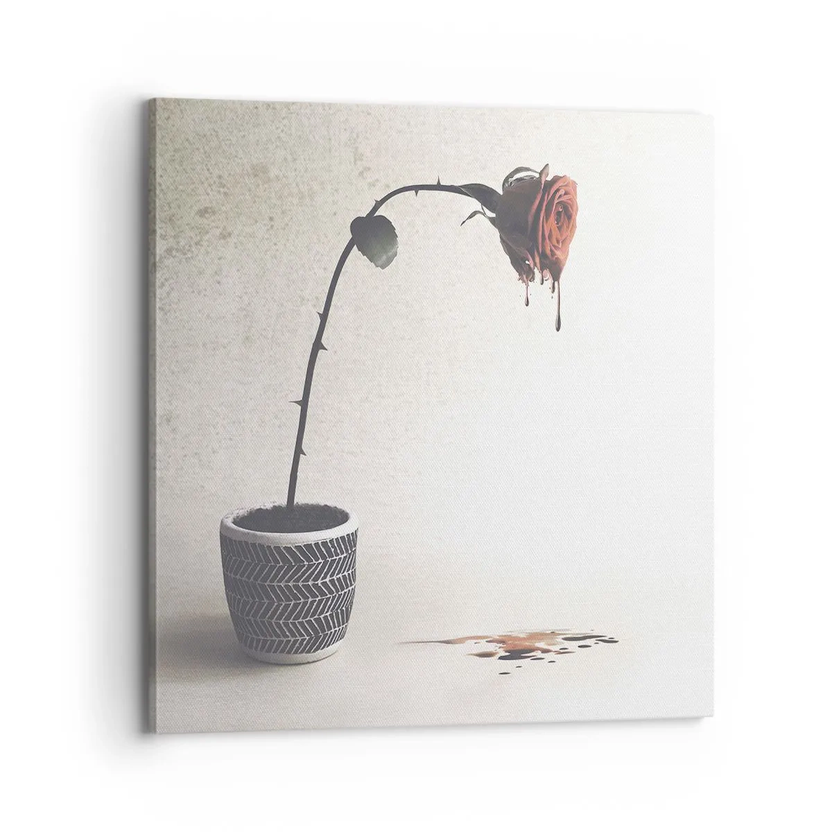 Obraz na plátne - Rosa dolorosa - 70x70 cm