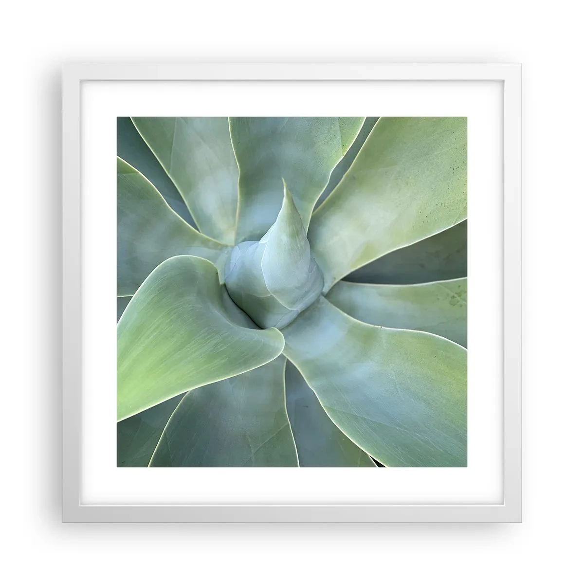 Plagát v bielom ráme - Zrodenie zelene - 40x40 cm