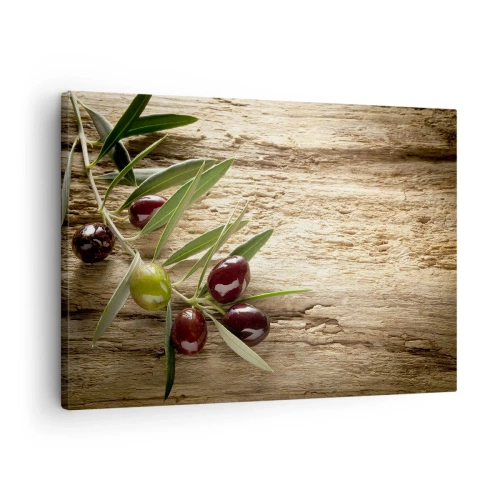Obraz na plátne - Olivová ratolesť s ovocím na pozadí starého dreva - 70x50cm - Priamo od prírody - Moderná nástenná dekorácia do obývacej izby a spálne ARTTOR