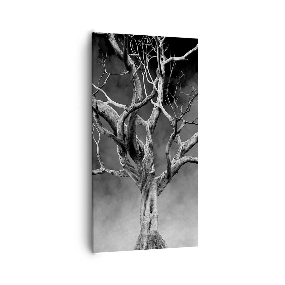 Obraz na plátne - Pôvodné a sväté - 65x120 cm