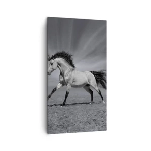 Obraz na plátne - Zrodený pre potešenie - 45x80 cm