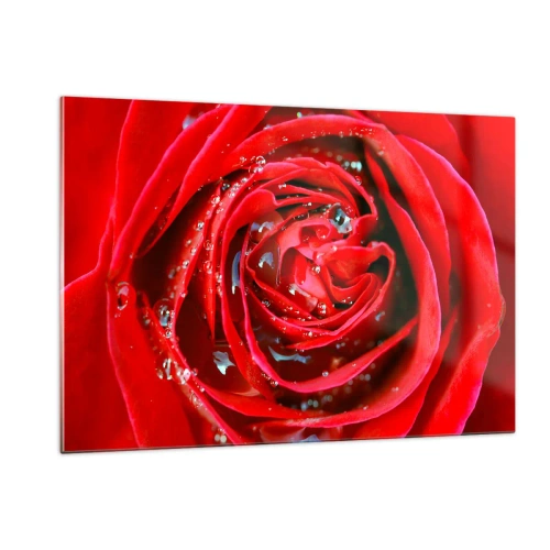 Obraz na skle - V kvapkách rosy - 120x80 cm