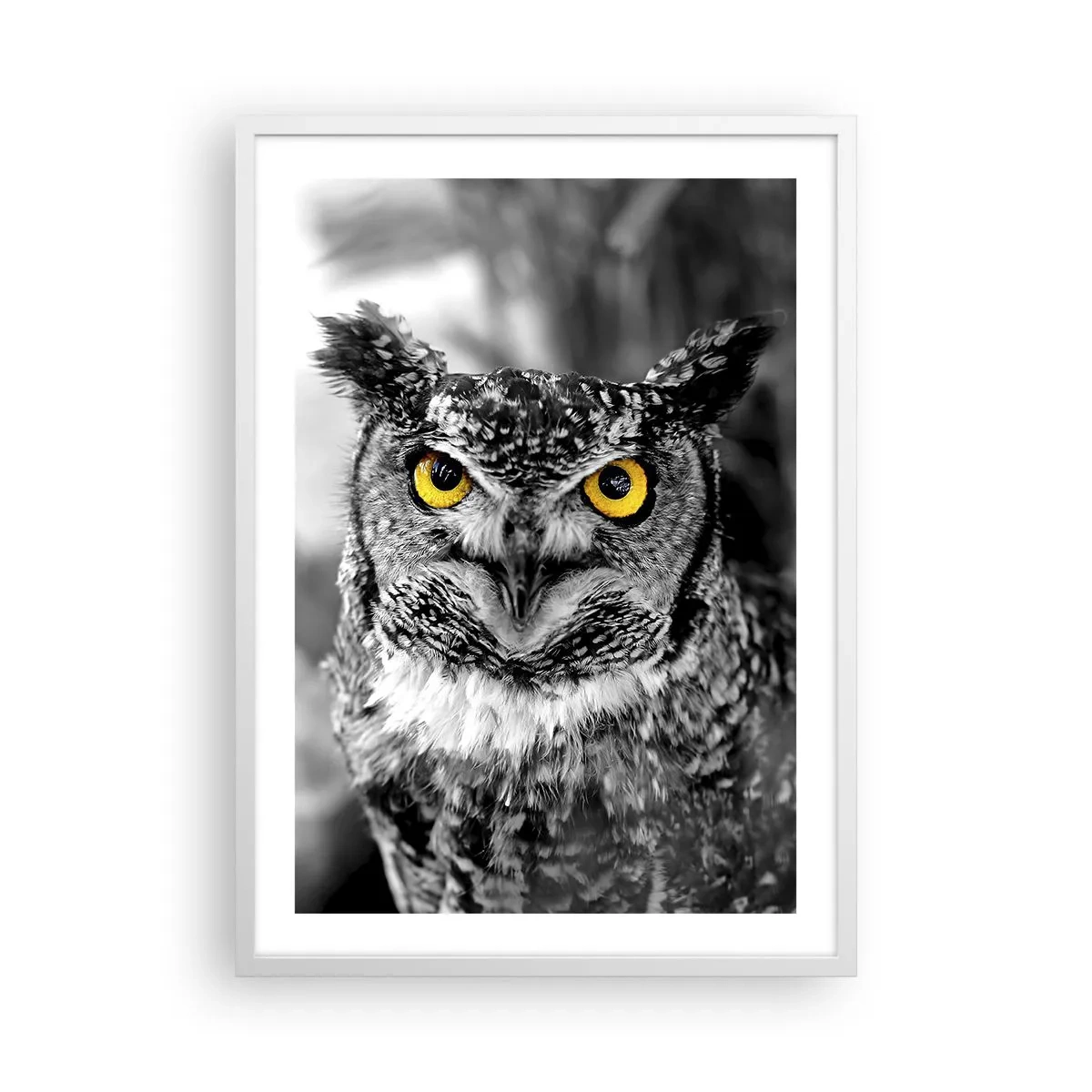 Plagát v bielom ráme - Nič sa neschová - 50x70 cm