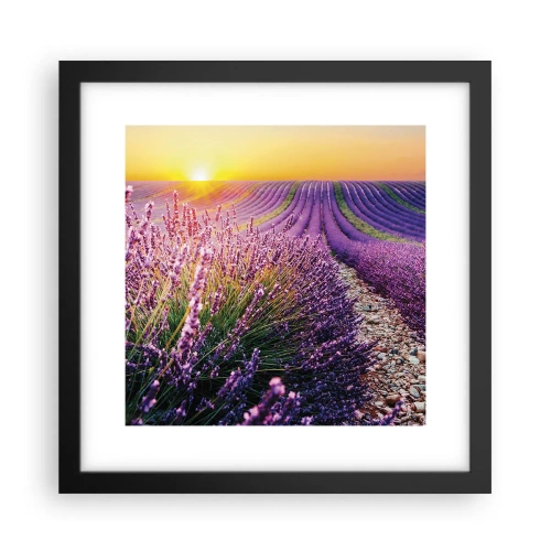 Plagát v čiernom ráme - Voňavý lán - 30x30 cm