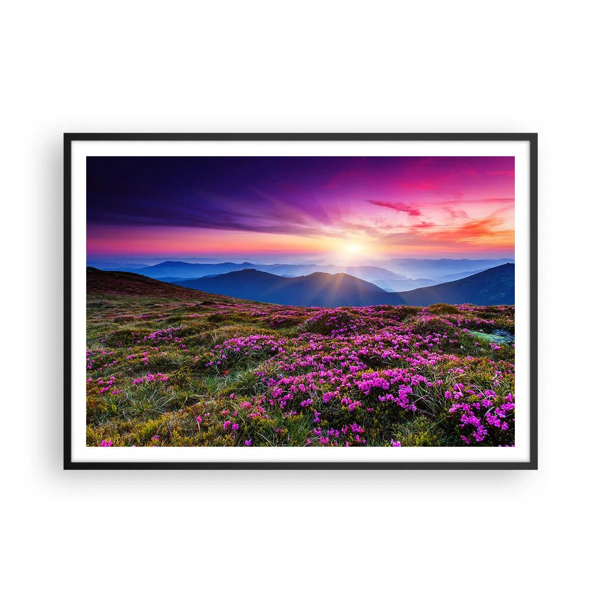 Plagát v čiernom ráme - Zavoňali svieže púčiky byliniek z obilných polí - 100x70 cm