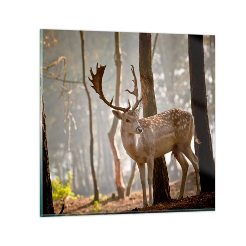 Obraz na skle - Svetlo mladosti - 30x30 cm