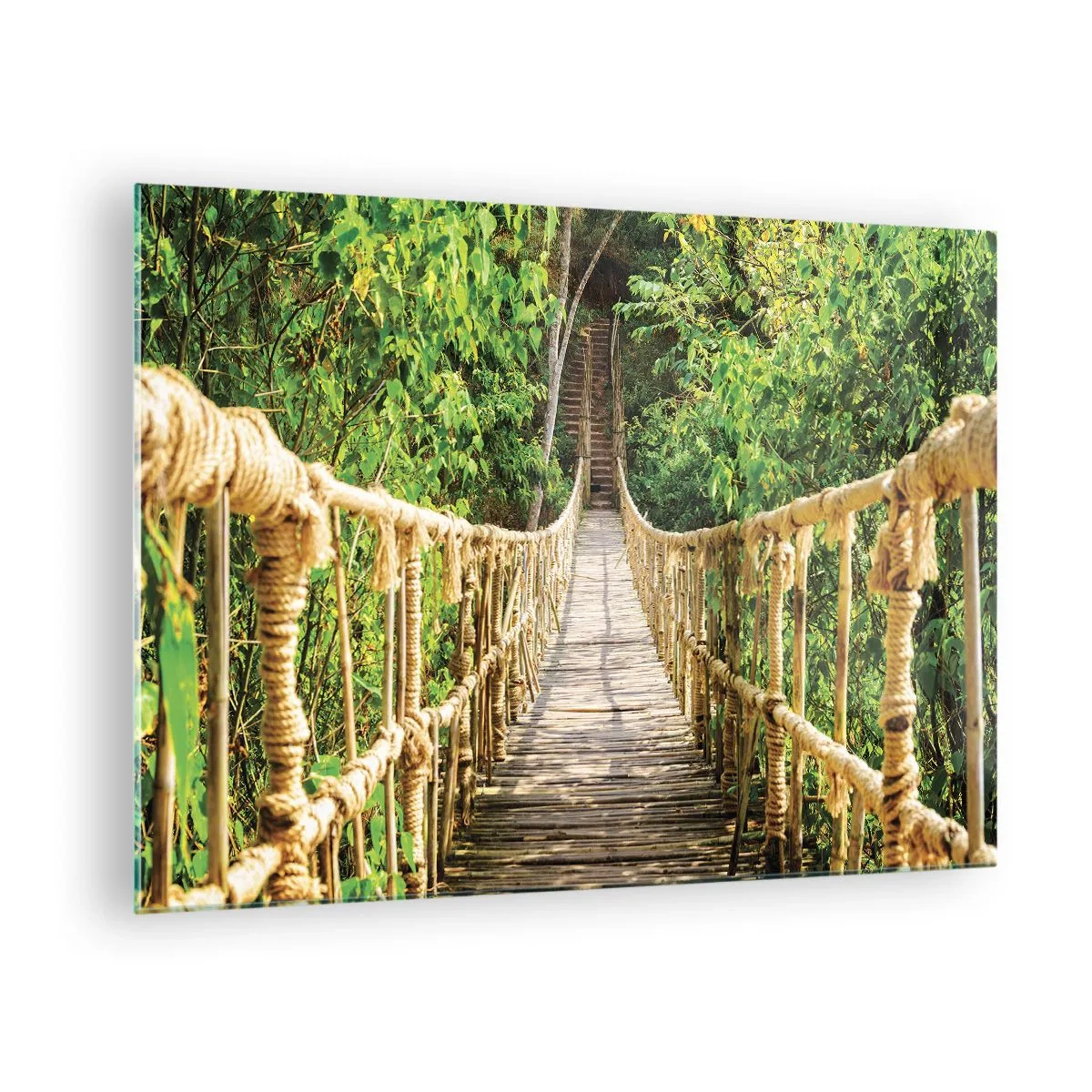 Obraz na skle - Drevený lanový most obklopený bujnou zeleňou - 70x50cm - Zavesený v zelenej - Moderná nástenná dekorácia do obývacej izby a spálne ARTTOR