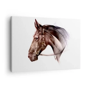 Obraz na plátne - Profil koňa v jemnej umeleckej forme na bielom pozadí - 70x50cm - To je ale pôvab - Moderná nástenná dekorácia do obývacej izby a spálne ARTTOR