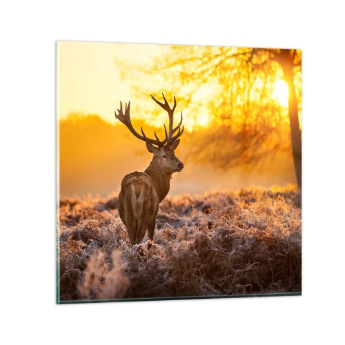 Obraz na skle - Kráľ jesenného lesa - 30x30 cm