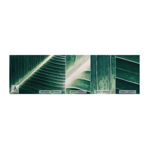 Vzorka fototapety Premium Canvas - Rytmus prírody - Abstrakcia, Zelený list, Grafika - 100x30 cm