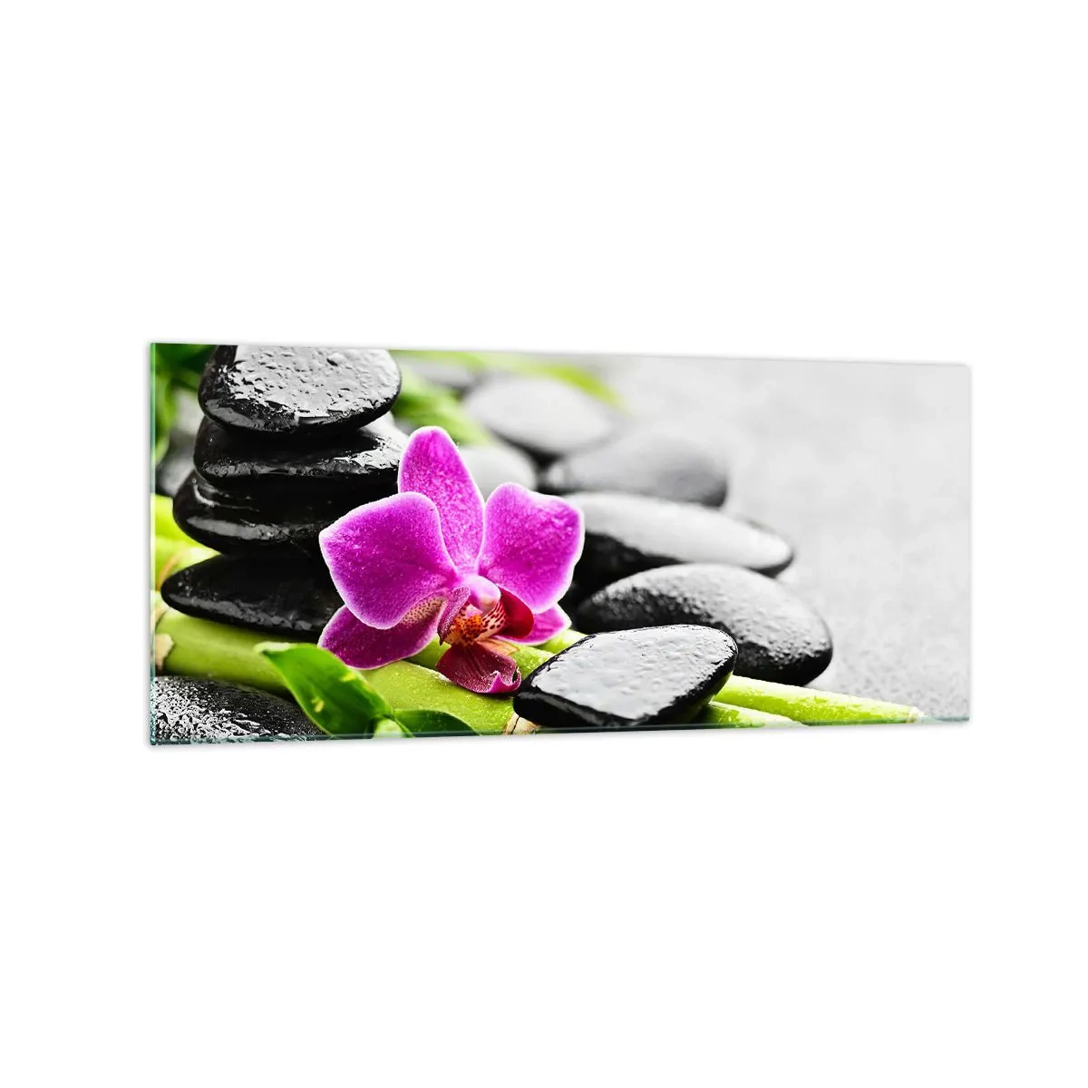 Obraz na skle - V pokojnej rovnováhe - 120x50 cm