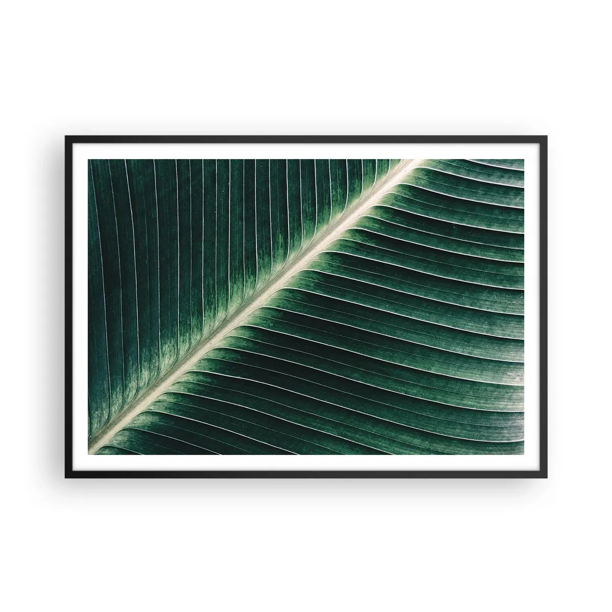Plagát v čiernom ráme - Rytmus prírody - 100x70 cm