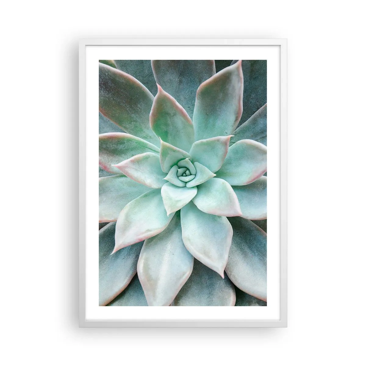 Plagát v bielom ráme - Srdce púšte - 50x70 cm