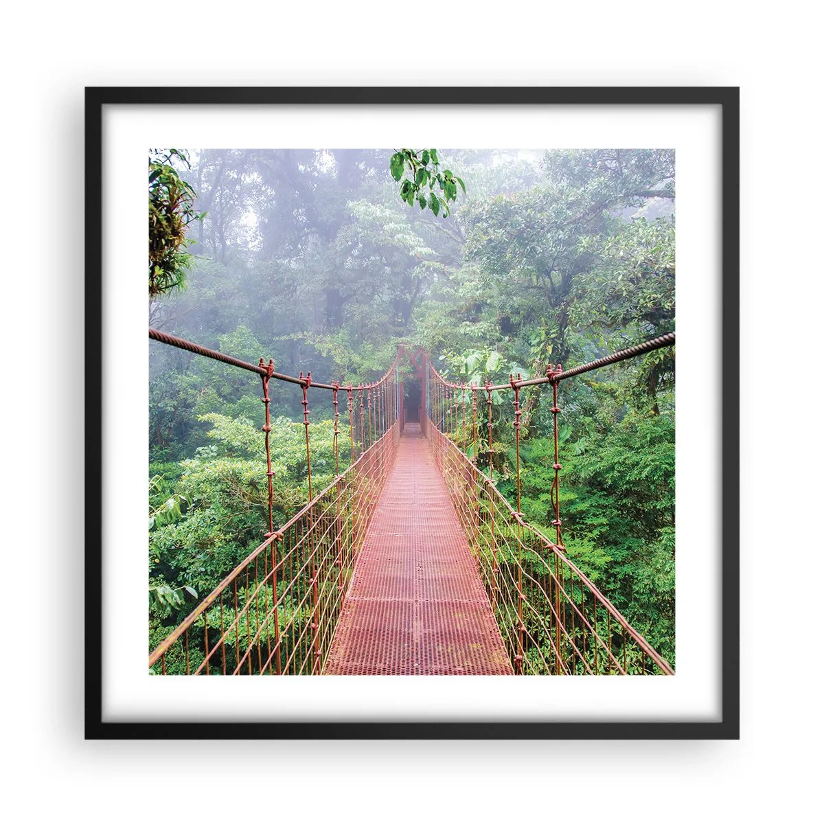 Plagát v čiernom ráme - Zavesený nad korunami - 50x50 cm