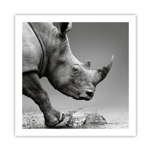 Plagát - Nezastaviteľná sila - 60x60 cm