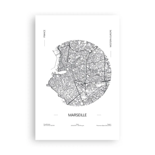 Plagát - Anatómia Marseille - 61x91 cm