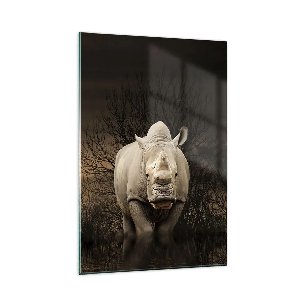 Obraz na skle - Biely proti prírode - 80x120 cm