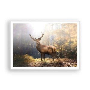 Plagát v bielom ráme - Plné dôstojnosti - 100x70 cm