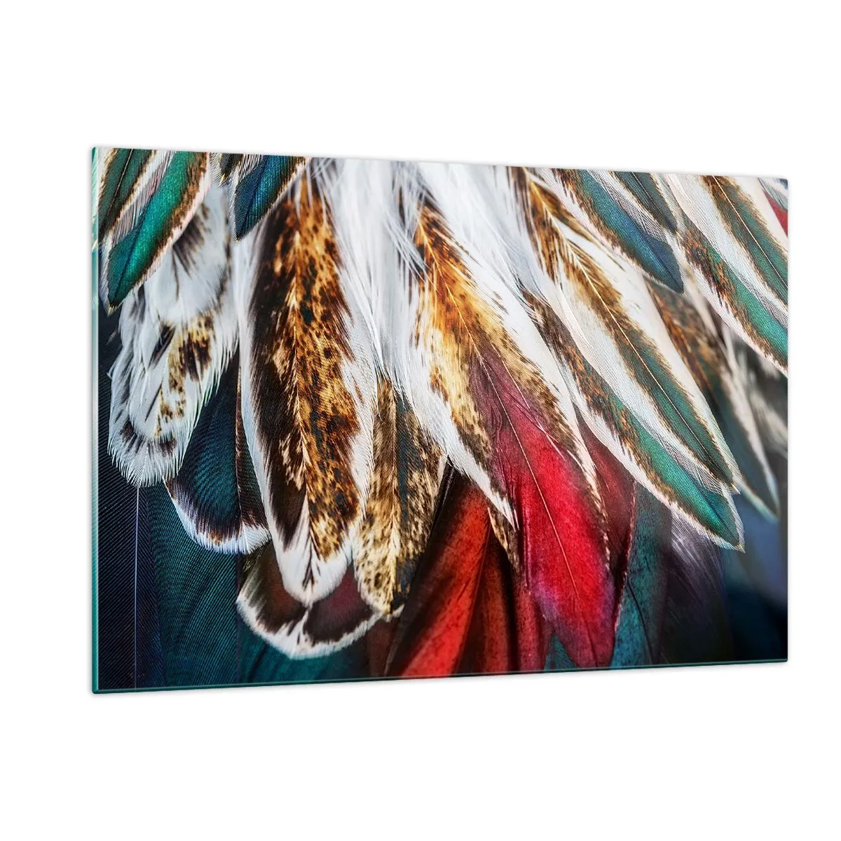 Obraz na skle - Tajomstvo letu - 120x80 cm