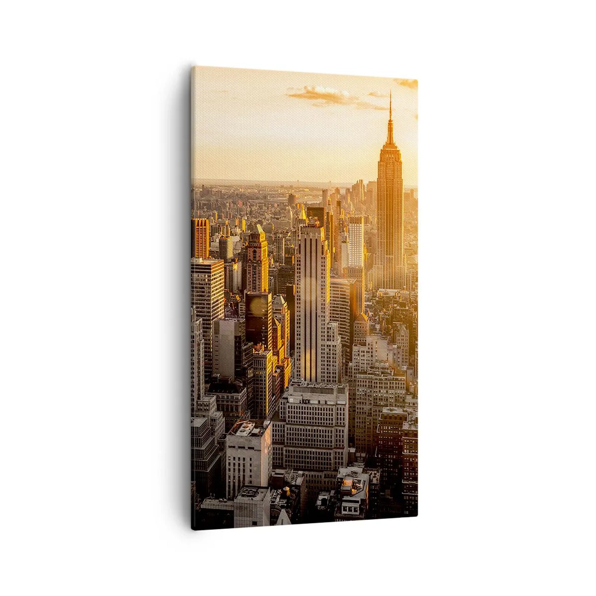 Obraz na plátne - Rast na slnku - 55x100 cm